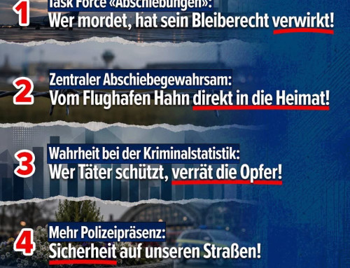 AfD-Sofortprogramm nach der Bluttat von Trier